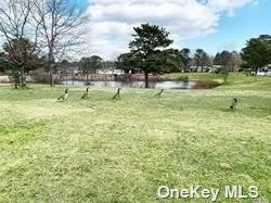 3367480_21 3367480_21